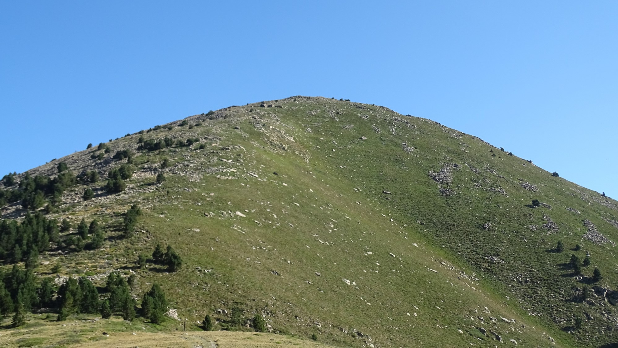 vue sur gallinas